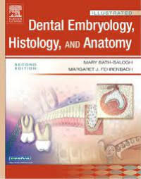 Image of Dental Embryology, Histology and Anatomy