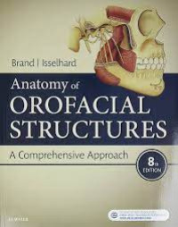 Image of Anatomy of Orofacial Structures