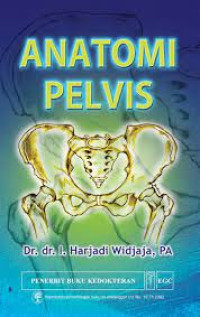 Image of Anatomi Pelvis
