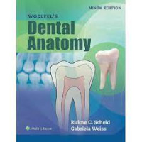 Woelfel's Dental Anatomy