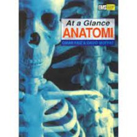 Image of At a Glane Anatomi